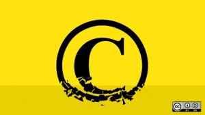 Copyright license choice